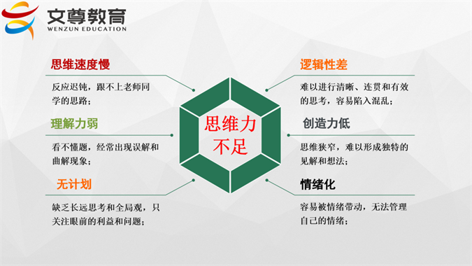 2024全国中小学学习力发展论坛精彩回顾(图35)
