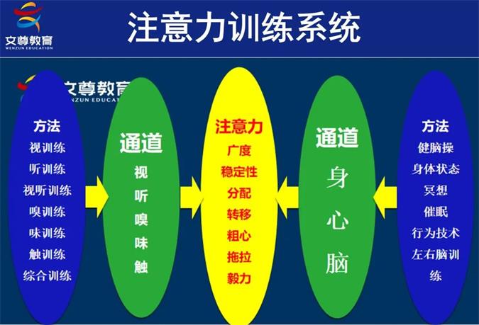 2024全国中小学学习力发展论坛精彩回顾(图32)
