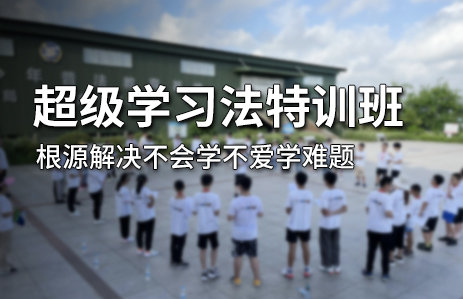 学习能力​探索发展潜能的有效方法(图1)